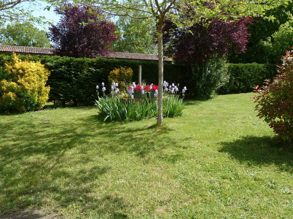 The white stone cottage by the river, 100 sq.m, 2 bedrooms.  