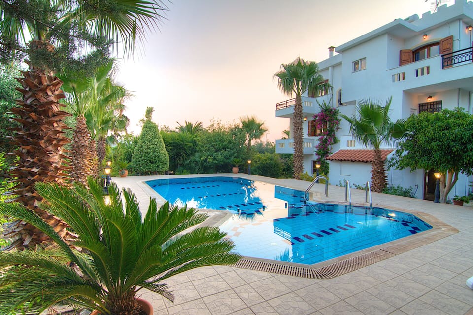 The pool area is surrounded by beautiful decorative plants and olive trees