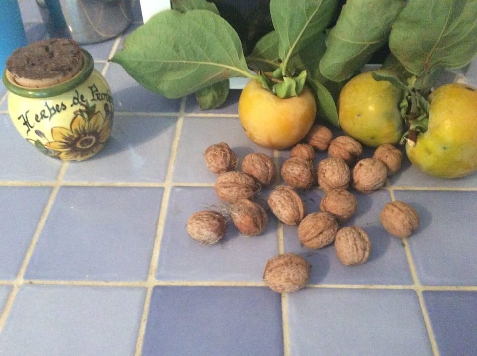 Walnuts and sharon fruits .