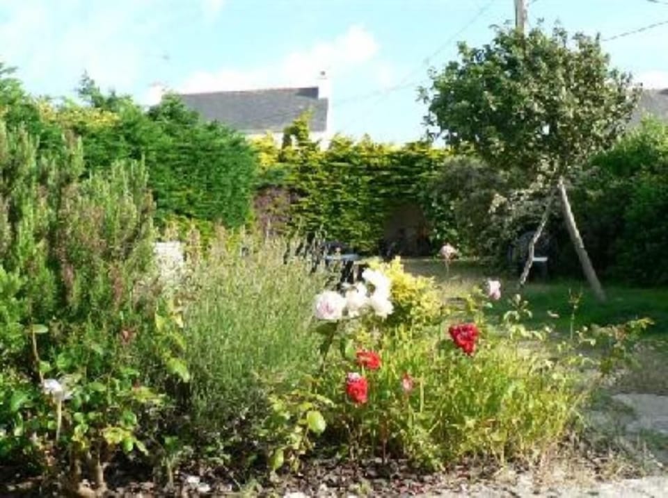 Garden, Park