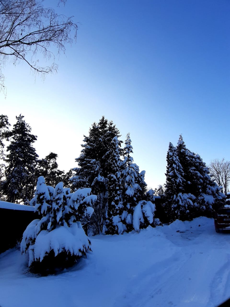 Snow and ski sports