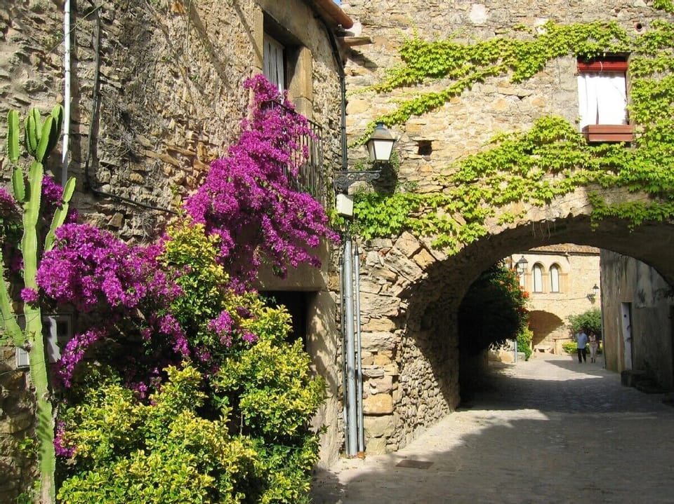 Front door and archway