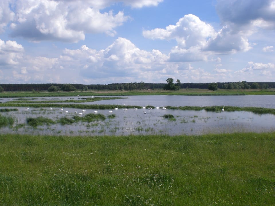 Lake