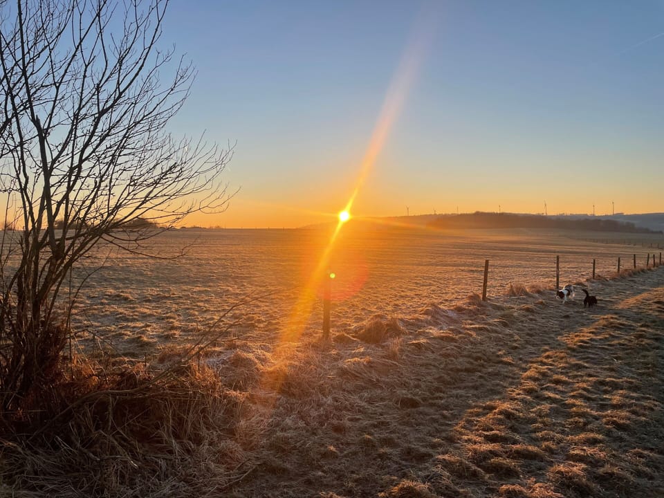 Dezember im Westerwald, Sonnenaufgang