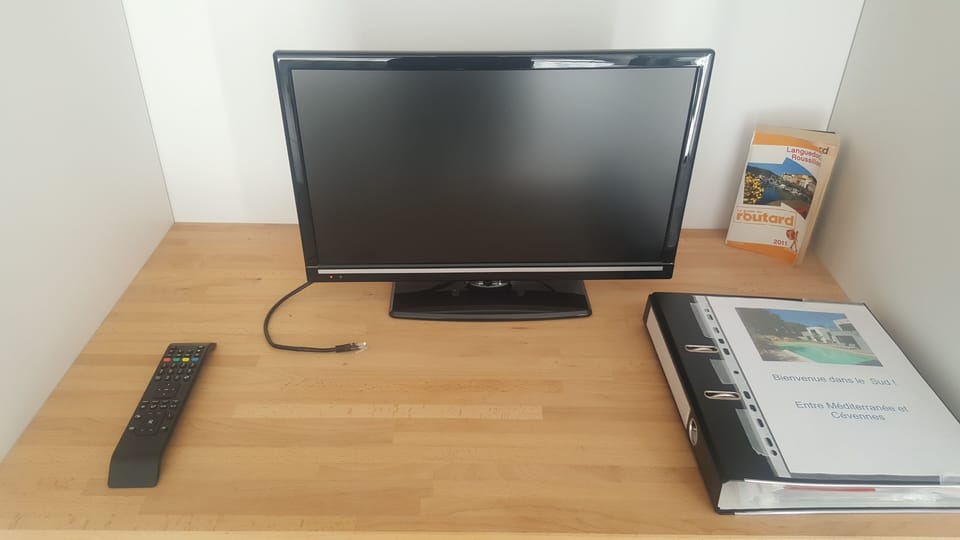 Television