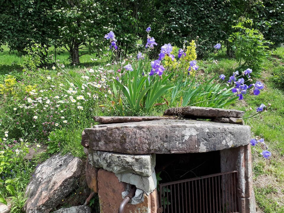 Puits ancien et jardin fleuri de La Maison des Étoiles à Noailhac en Corrèze