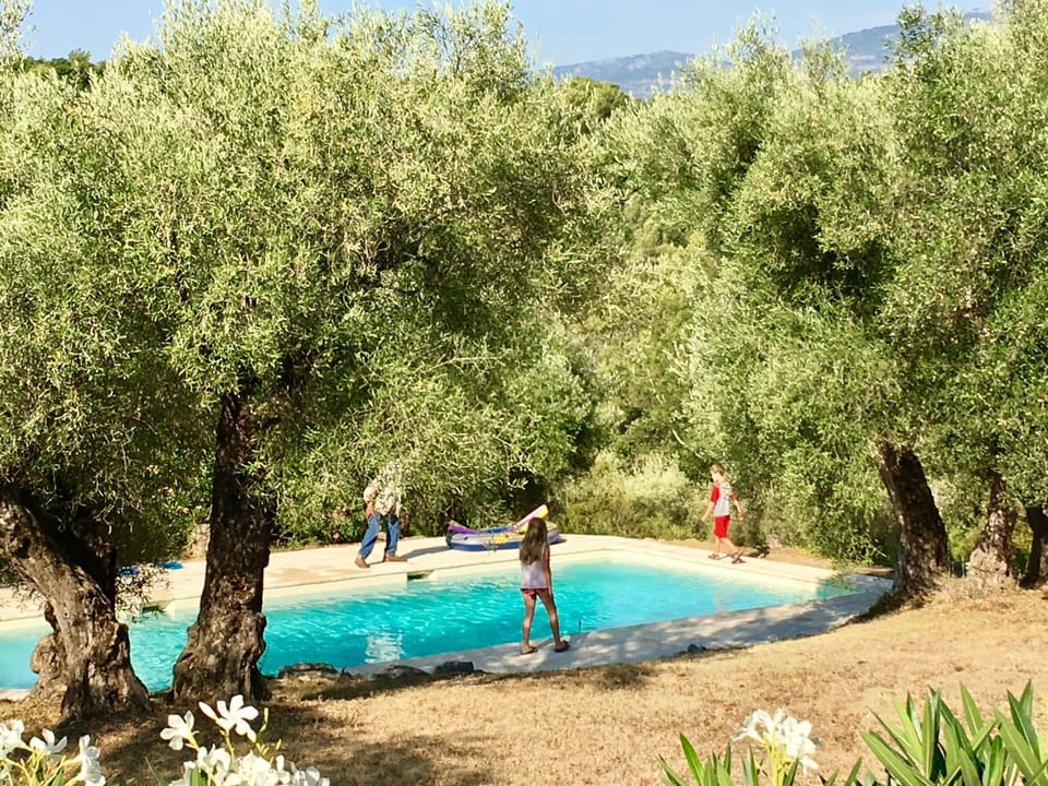 Around the pool