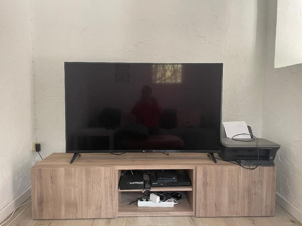 Television