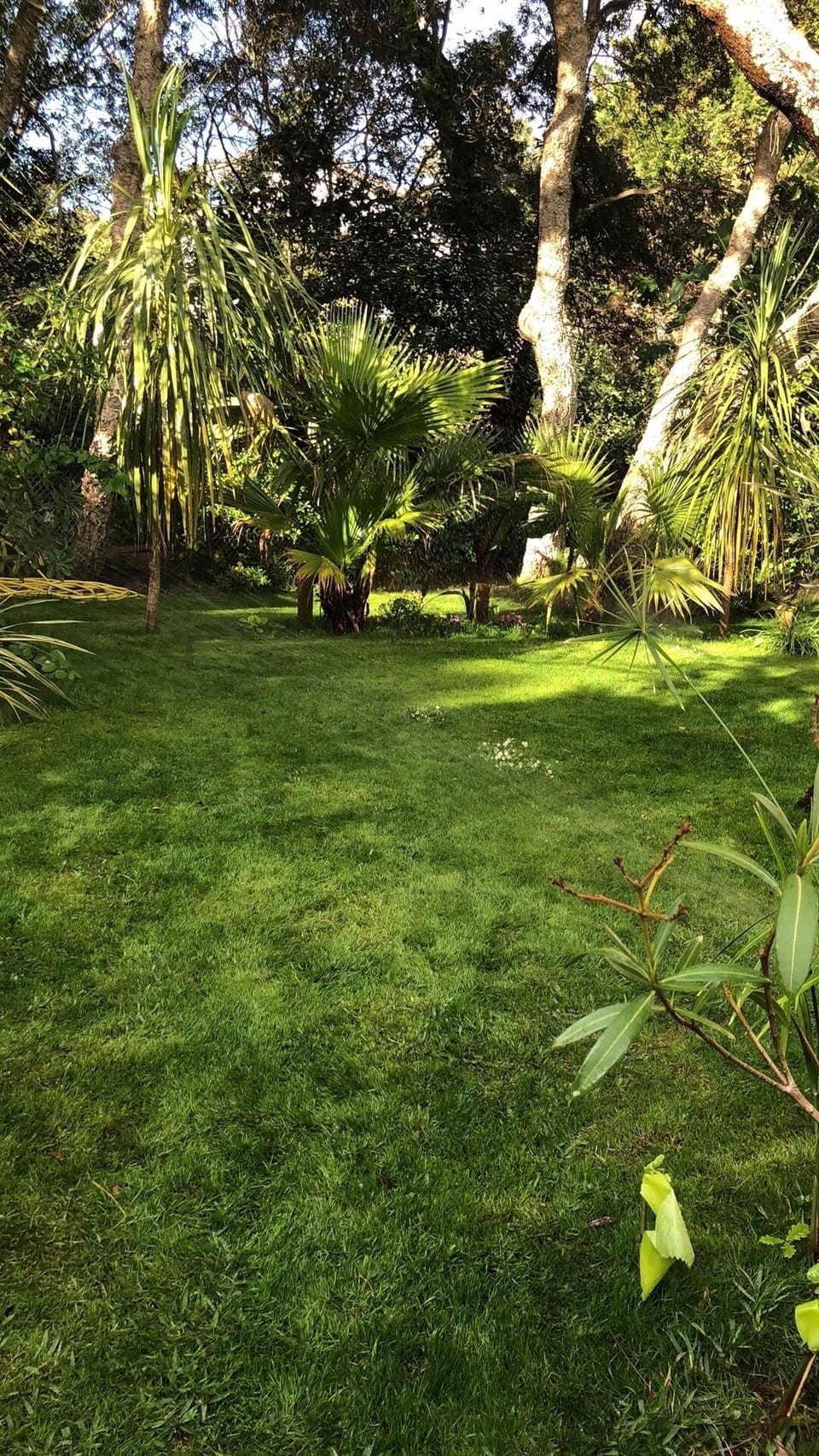 Property grounds