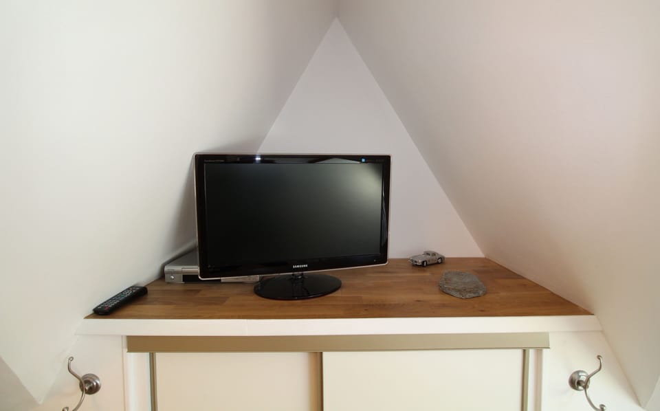 Television