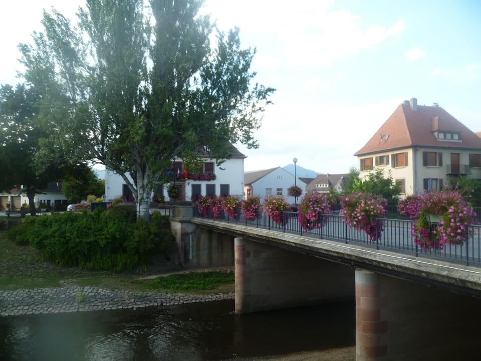 "LE SCHNOUKI" GITE Apartment in Colmar