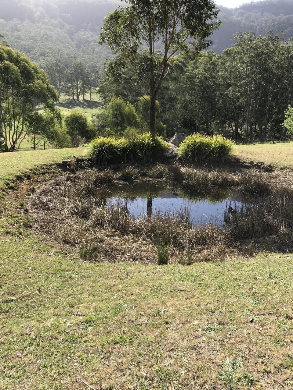 View from in front of the family room, looking over the dam and to escarpmen