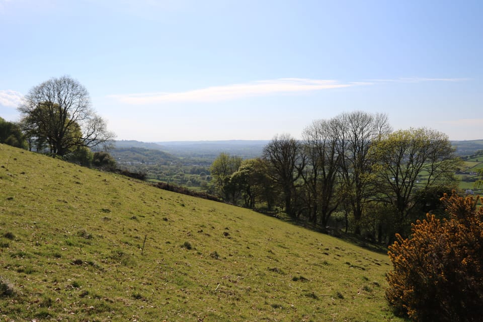 The view from the very top of our woods.