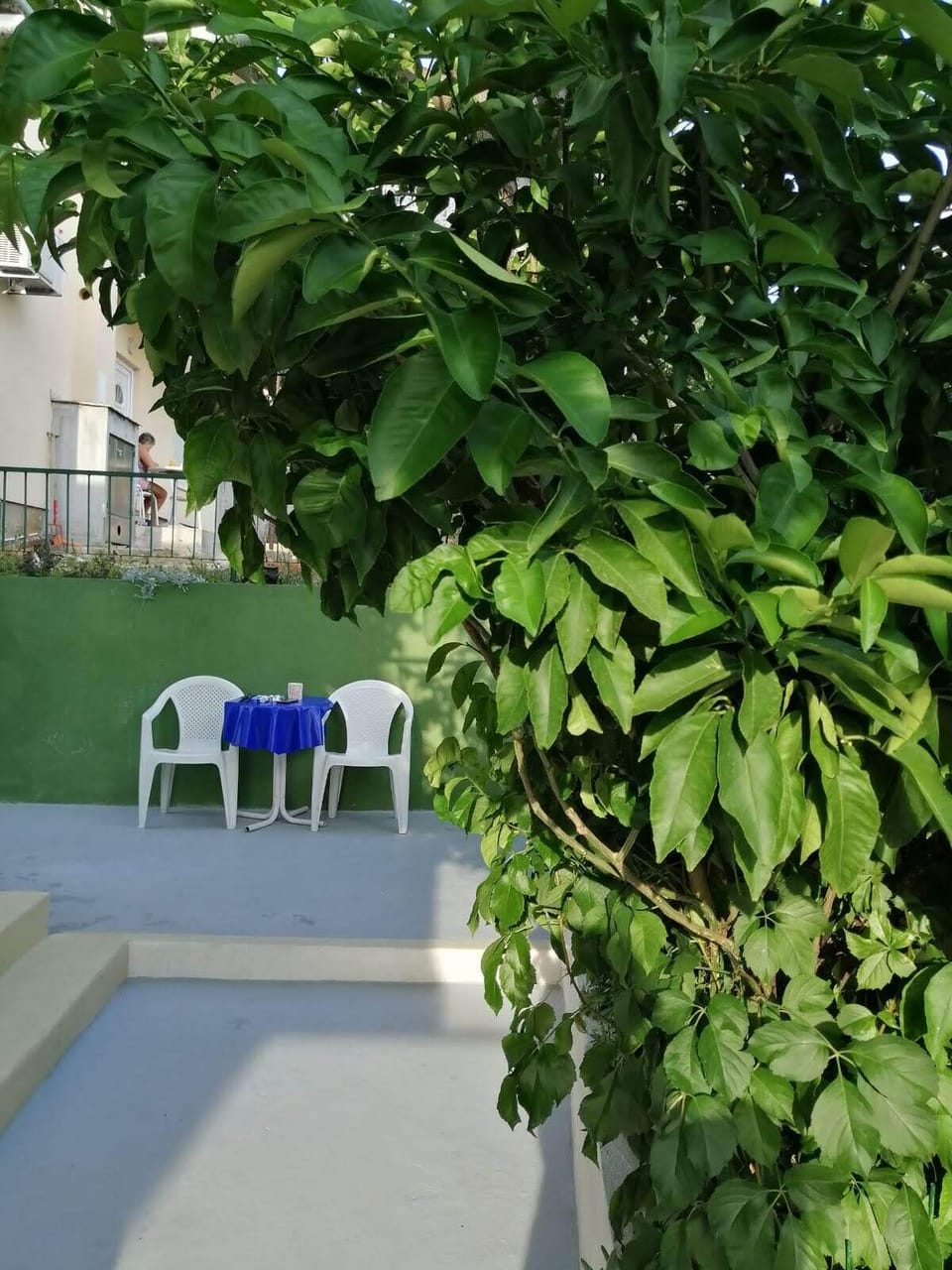 terrace