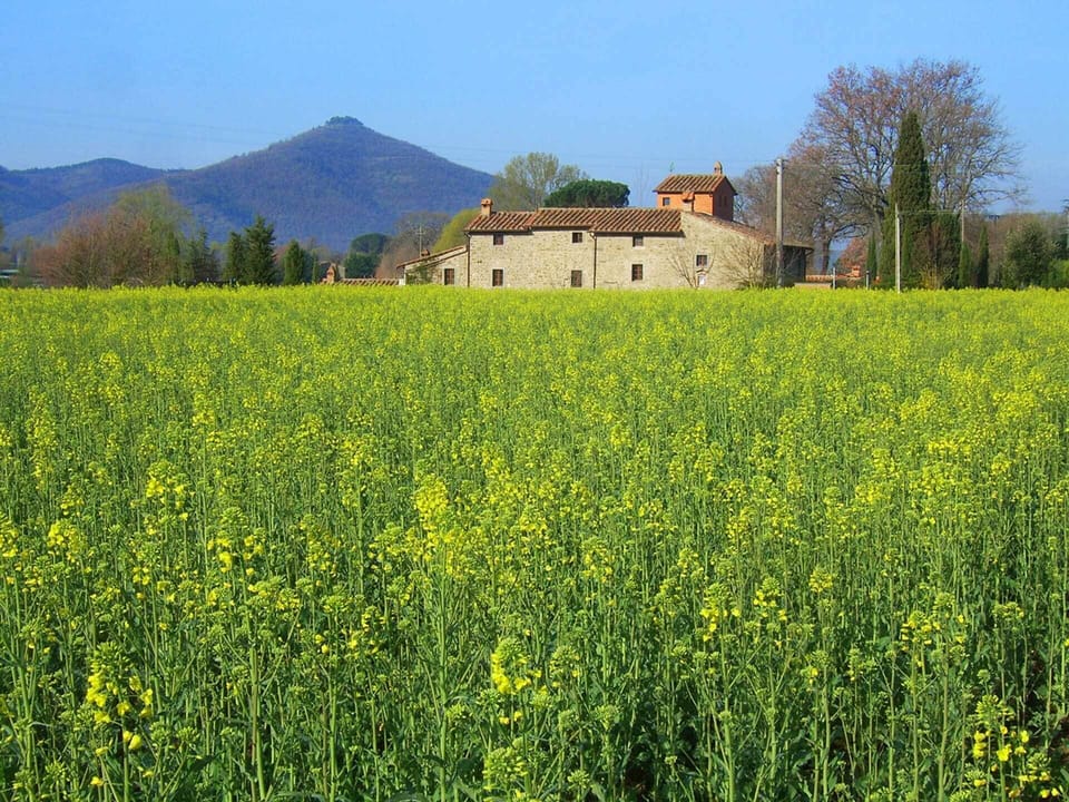 Large country apartment in Cortona 3bed3bath with shared pool & gorgeous gardens Apartment in Tuscany
