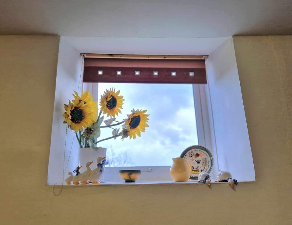view from lounge window