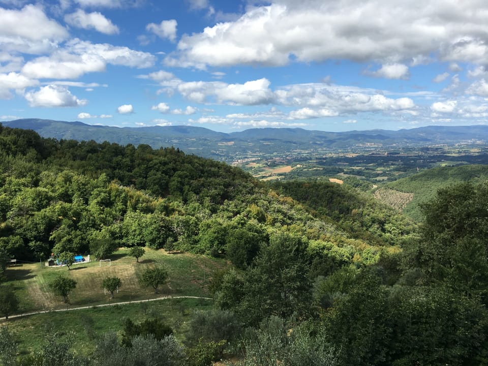 Our view
