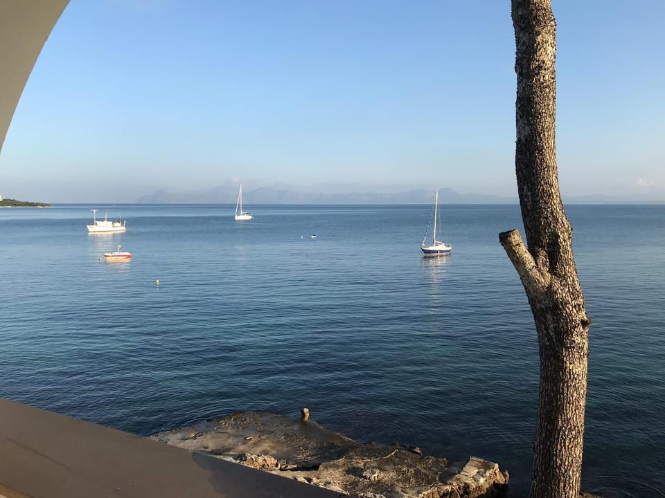 View from property