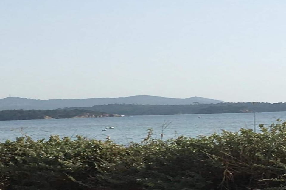 Region [summer] (>5 km)