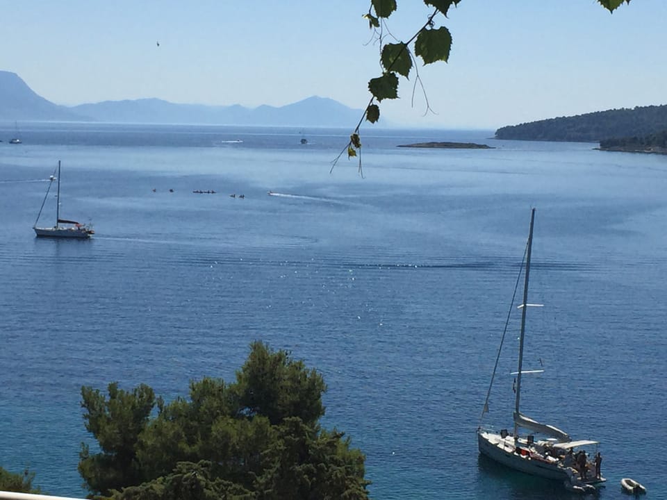 view