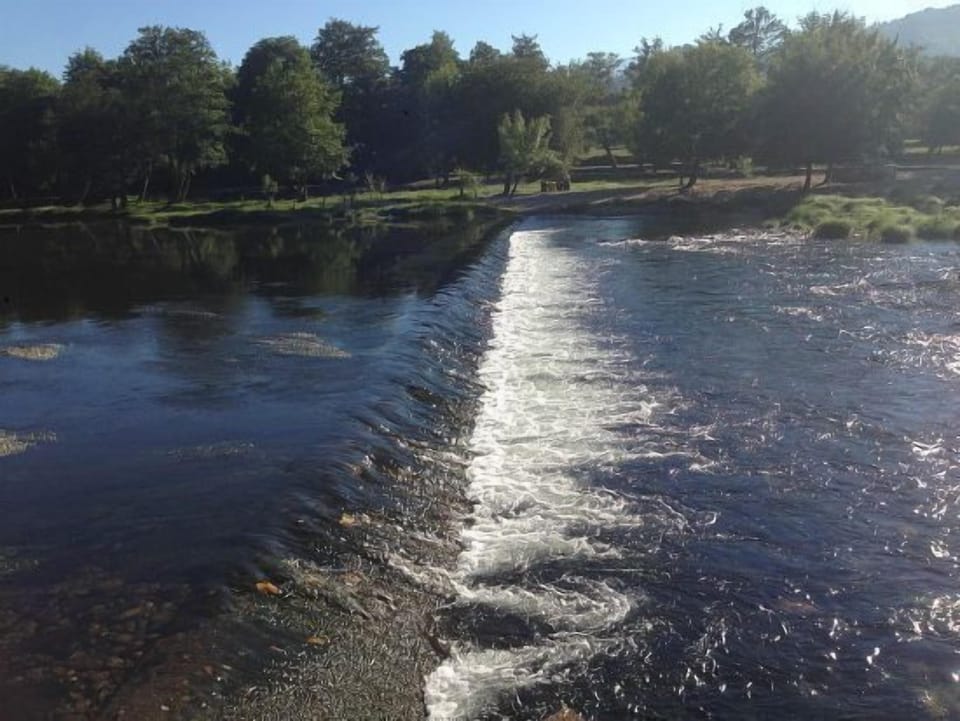Beautiful Vez River Ecotrail birdwatching contact with nature