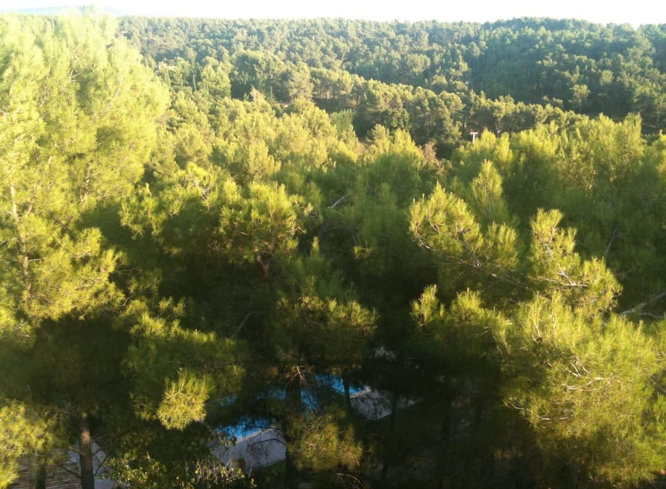 View from the terrace