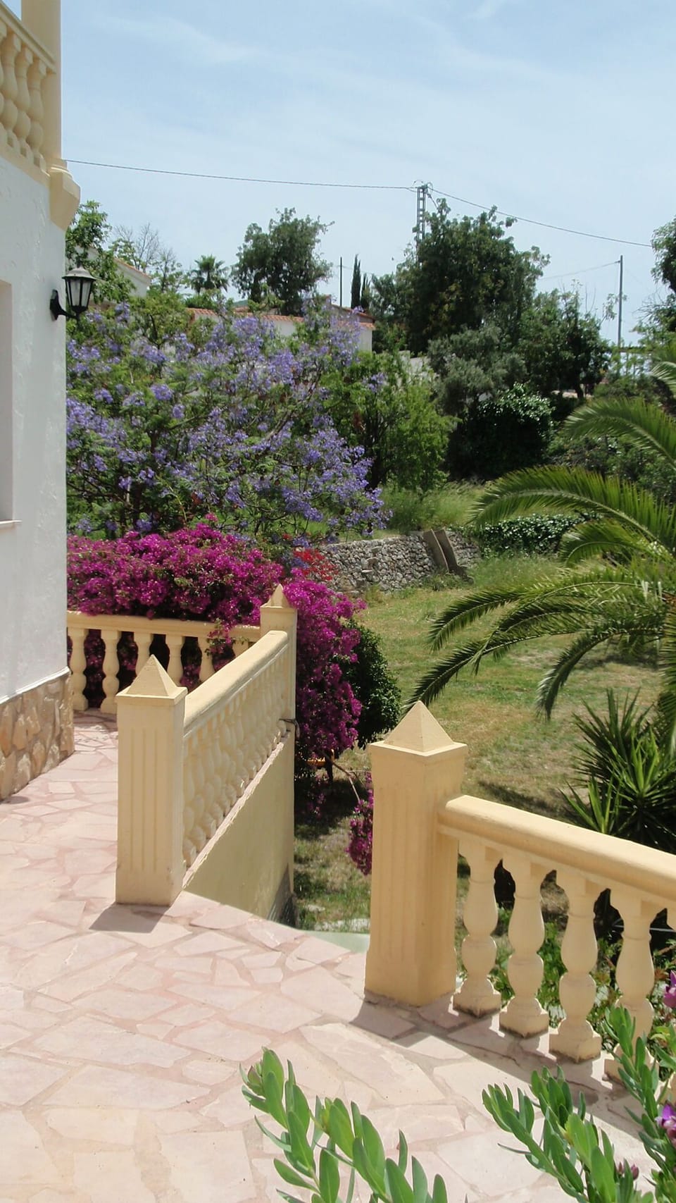 garden