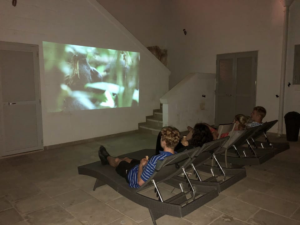 Outdoor cinema - bring your portable projector!