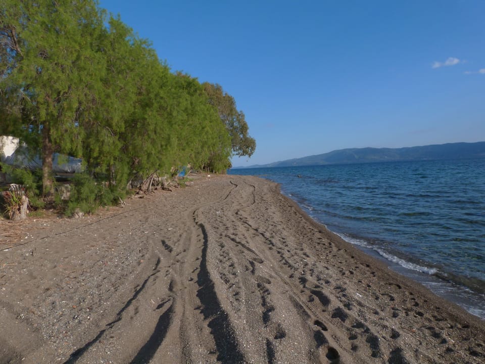 nearest beach view