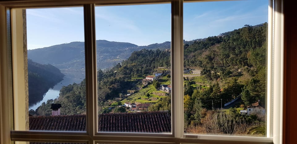 View from the room
