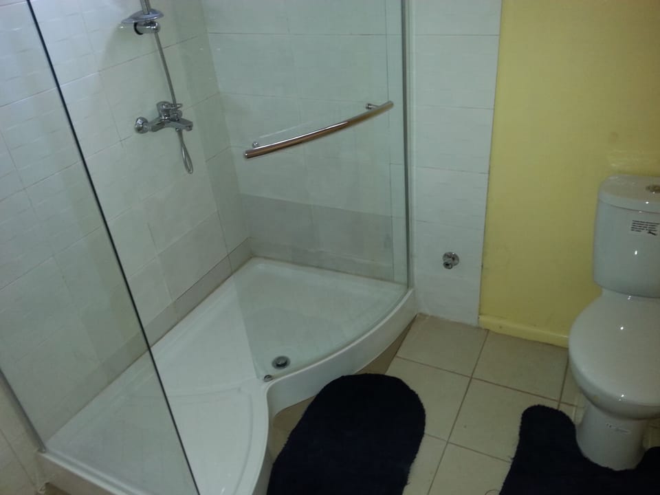 Walk in shower and modern wc