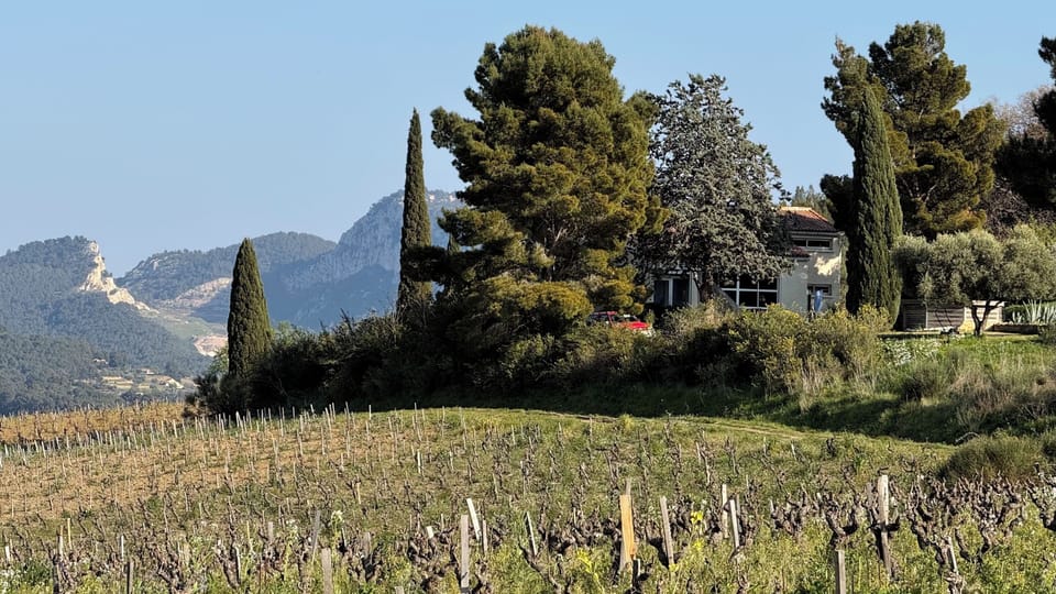  L’AMIRADOU FROM THE VINEYARDS