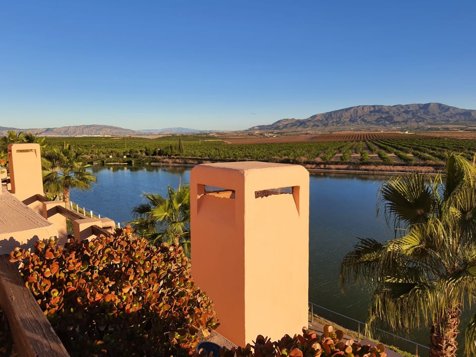 Lake and mountain view from the terrace.