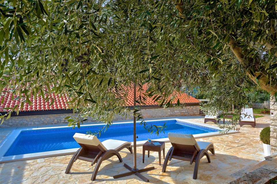 View of the pool from the summer cabin