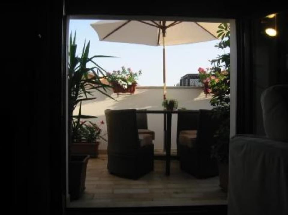 Terrace / Balcony