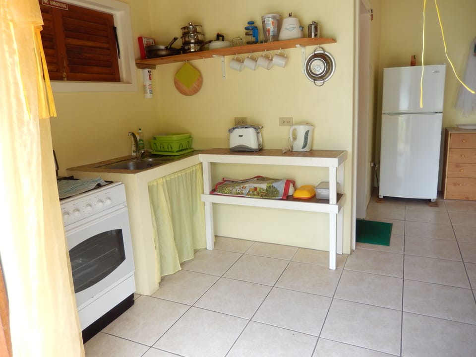 Well equipped kitchen + large fridge freezer