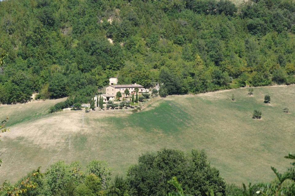 The house