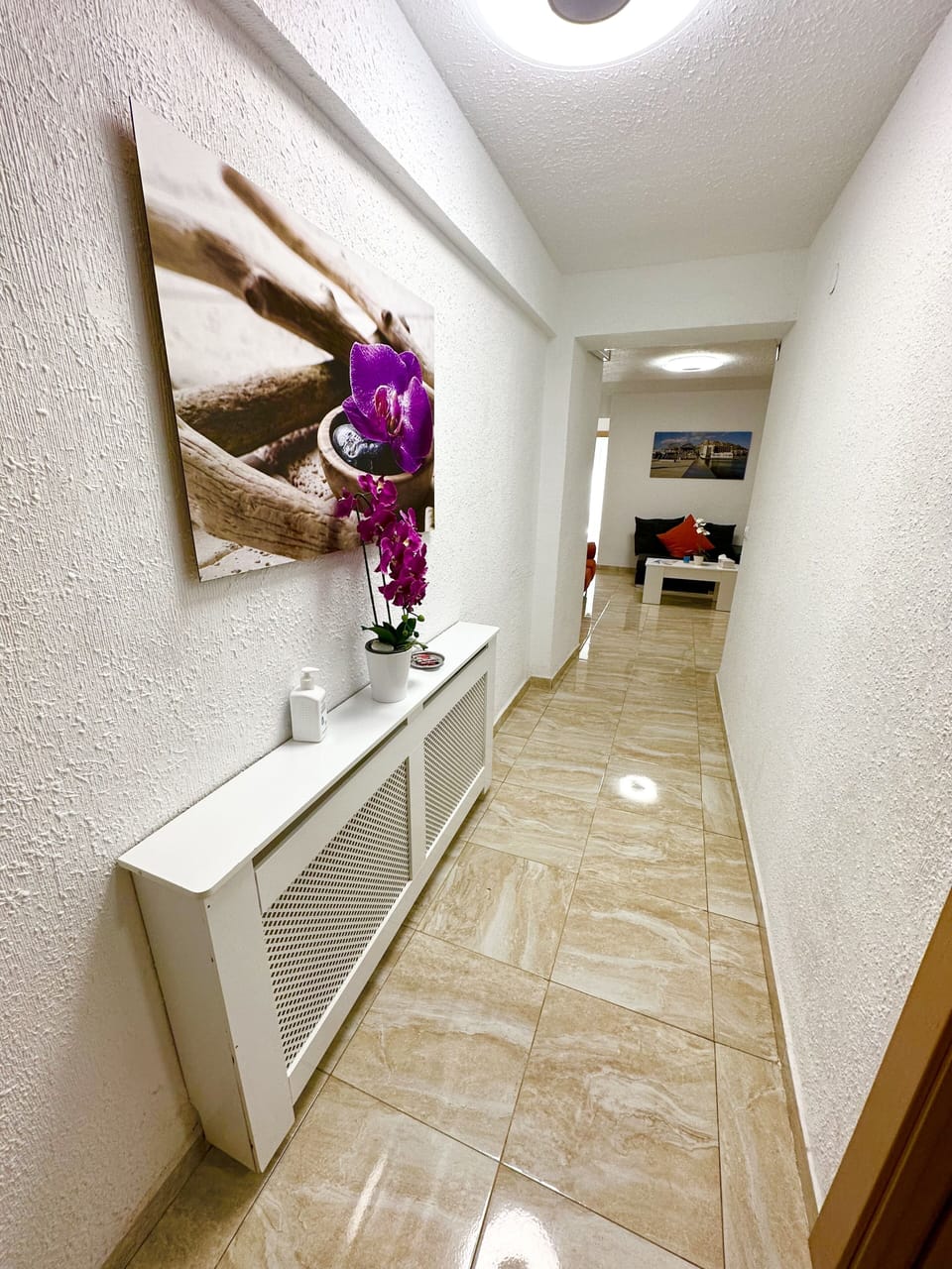a patio in the entrance inside the apartment 