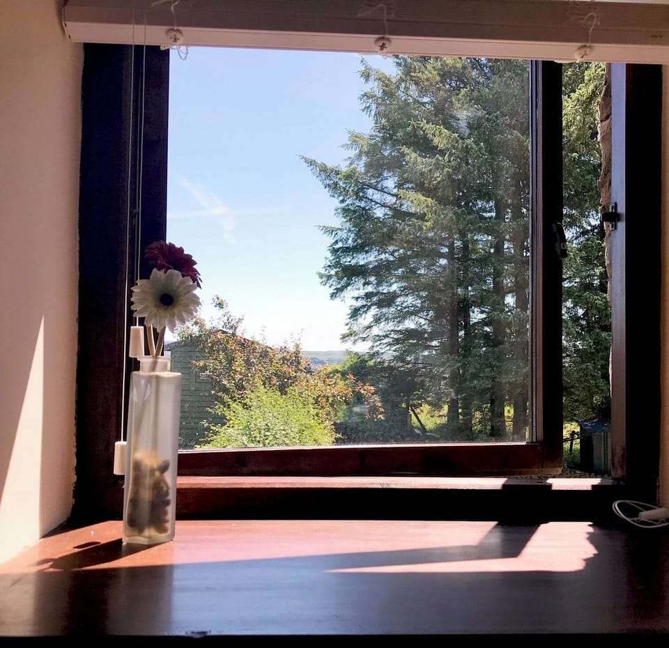 View from bedroom
