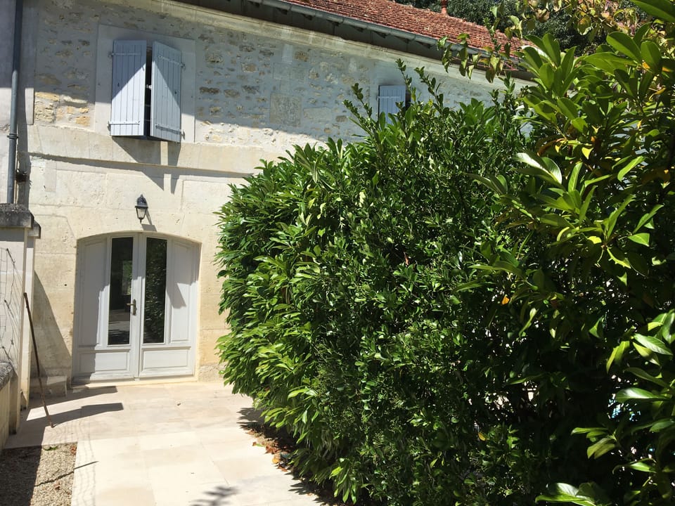 The pool is hidden behind a wall of fresh green foliage - for privacy and safety