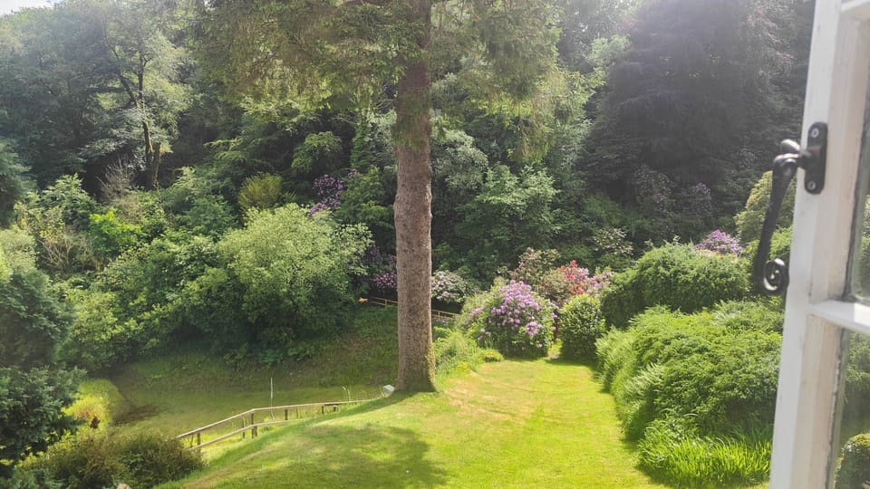 View from single room