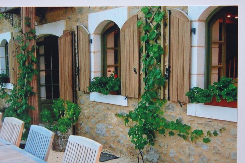 Delicious grapes adorn the walls - eat as you wish