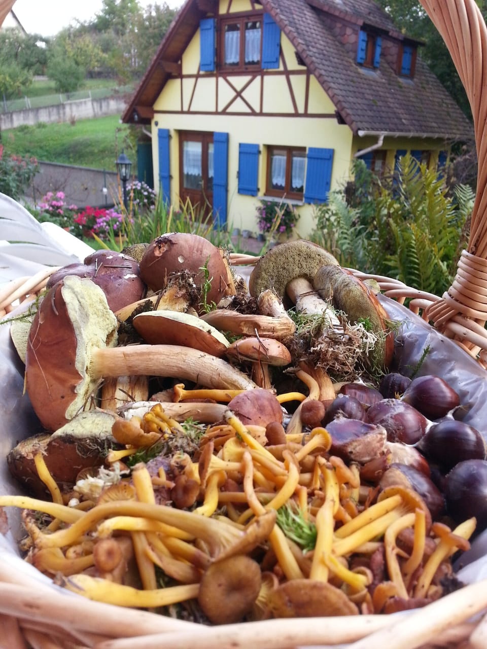 Food and drink