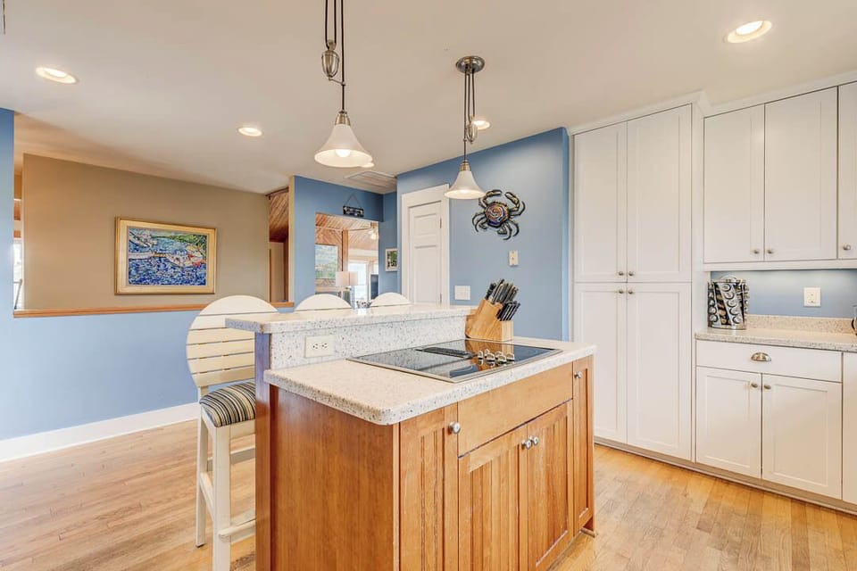 Aerial View of of Sea Fox