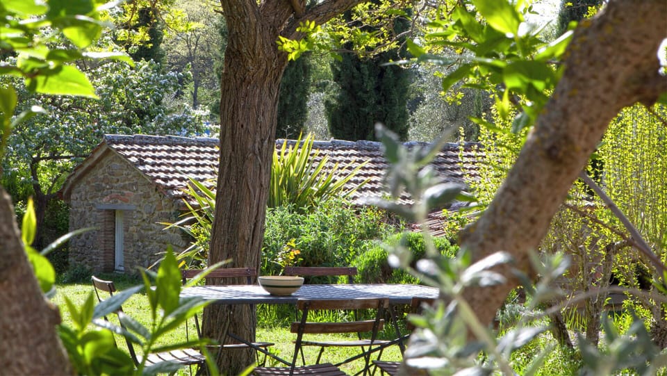 A shady place to sit