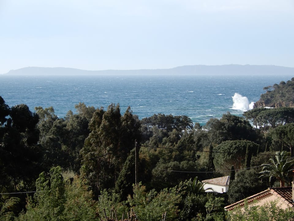 Beach/ocean view