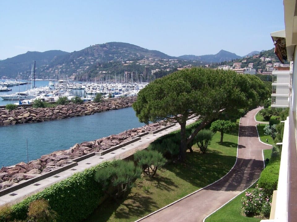 Balcony view