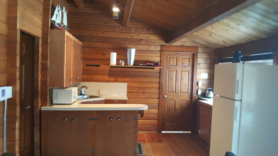 Panabode kitchen with microwave, toaster, kettle and fridge