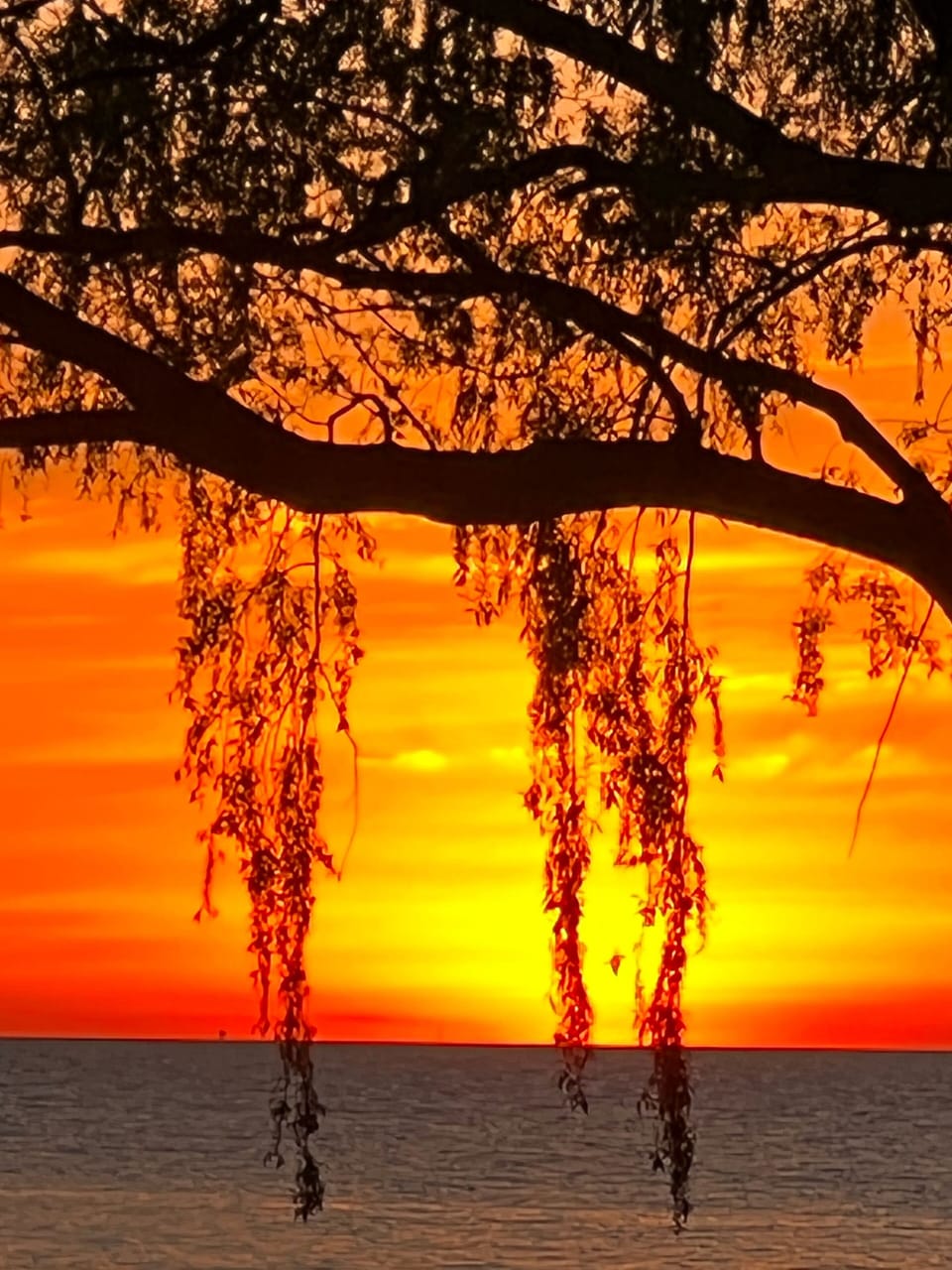 Evening sunset