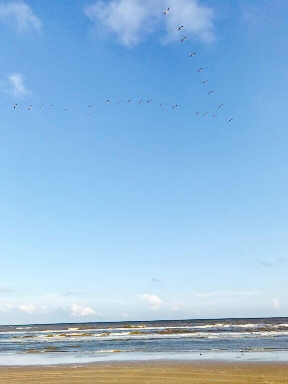 Sargent Beach! Take a walk or a drive! Great shells and fishing!
